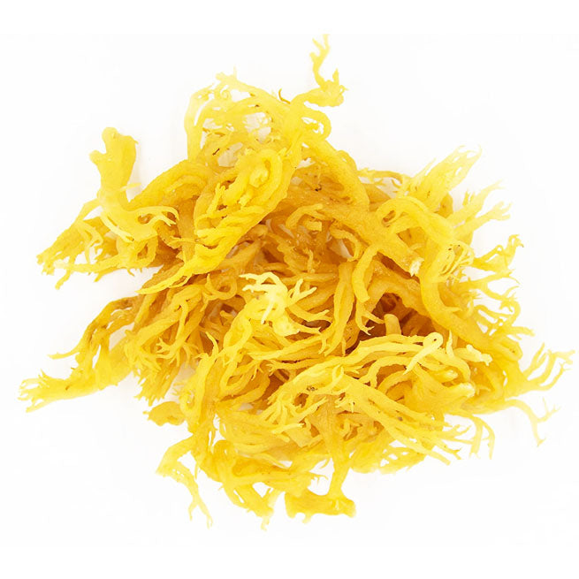 Irish Moss